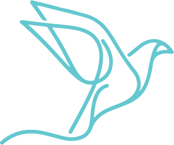 PlenoERP Logo